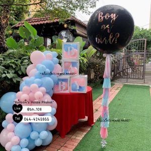 Balloon Set - Blue & Pink