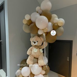 Hot air balloons with teddy bear
