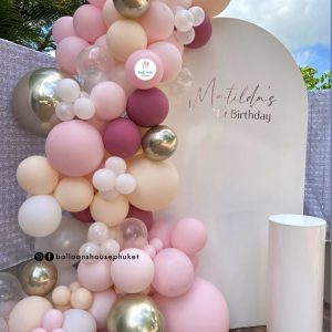 Organic Balloon Backdrop Decoration