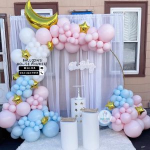 Organic Balloon Decoration – Blue & Pink