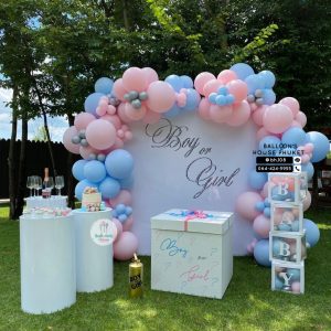 Organic Balloon Decoration – Pink & Blue