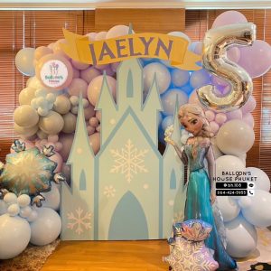 Organic Balloon Decoration – Elsa