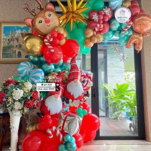 Organic Balloon Decoration Christmas