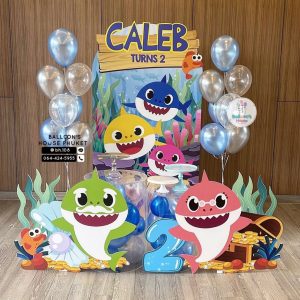 Organic Balloon Decoration