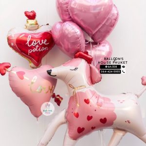 Heart Shape Balloon Set