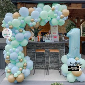 Organic Balloon Decoration