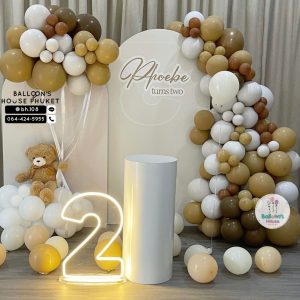 Organic Balloon Decoration