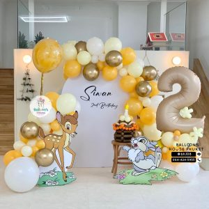 Organic Balloon Decoration