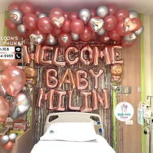 Newborn Baby Room Decoration